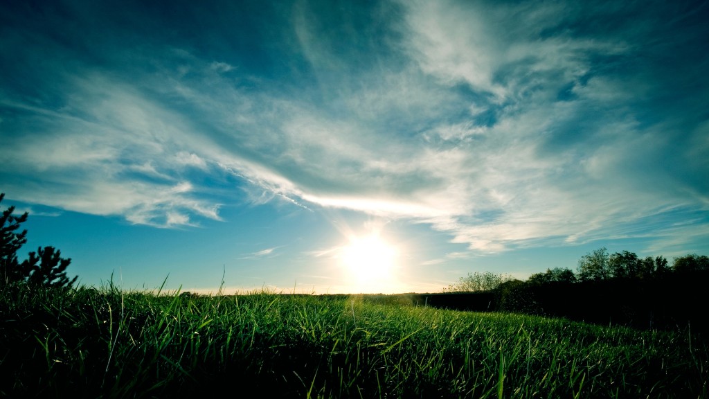 grass